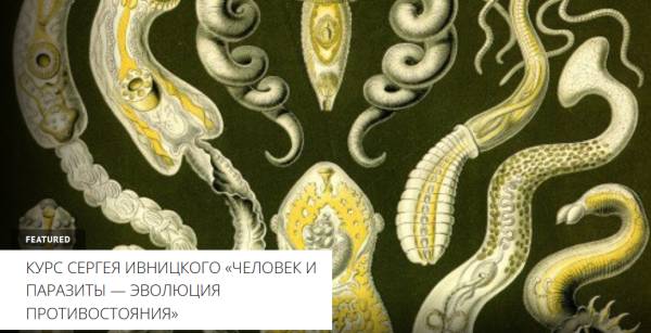 [Архэ] Сергей Ивницкий -Человек и паразиты — эволю_0.jpg